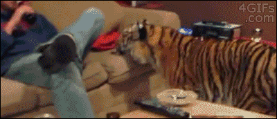你特么是老虎啊，严肃点行不行！