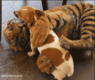你特么是老虎啊，严肃点行不行！