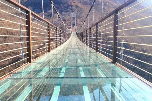 荟•玩 ‖ 挑战最高玻璃桥，乘百米电梯，赏奇峰