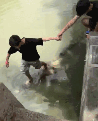 男子三翻四次把狗狗扔进水里，惹怒人群把他推入河中，解气！