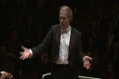 管弦乐团为什么需要一名指挥家？