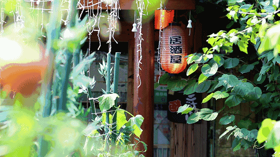 天鹅湖不足30㎡玻璃房，藏着一个日式花园