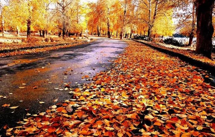 站在秋的路口（真美！）