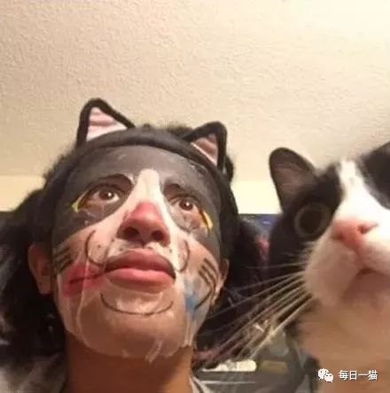 网友买了一片猫面膜，觉得猫一定很喜欢