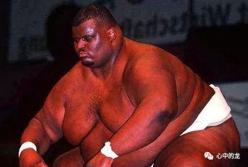 他是相扑界的“乔丹”，体重达830斤娶模特娇妻，你们羡慕吗？