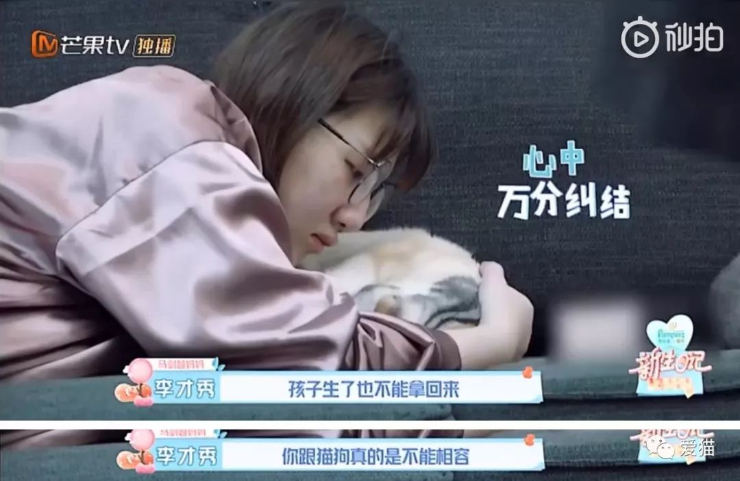 “怀孕就不能养猫！”湖南卫视芒果TV别宣传伪科普行不？