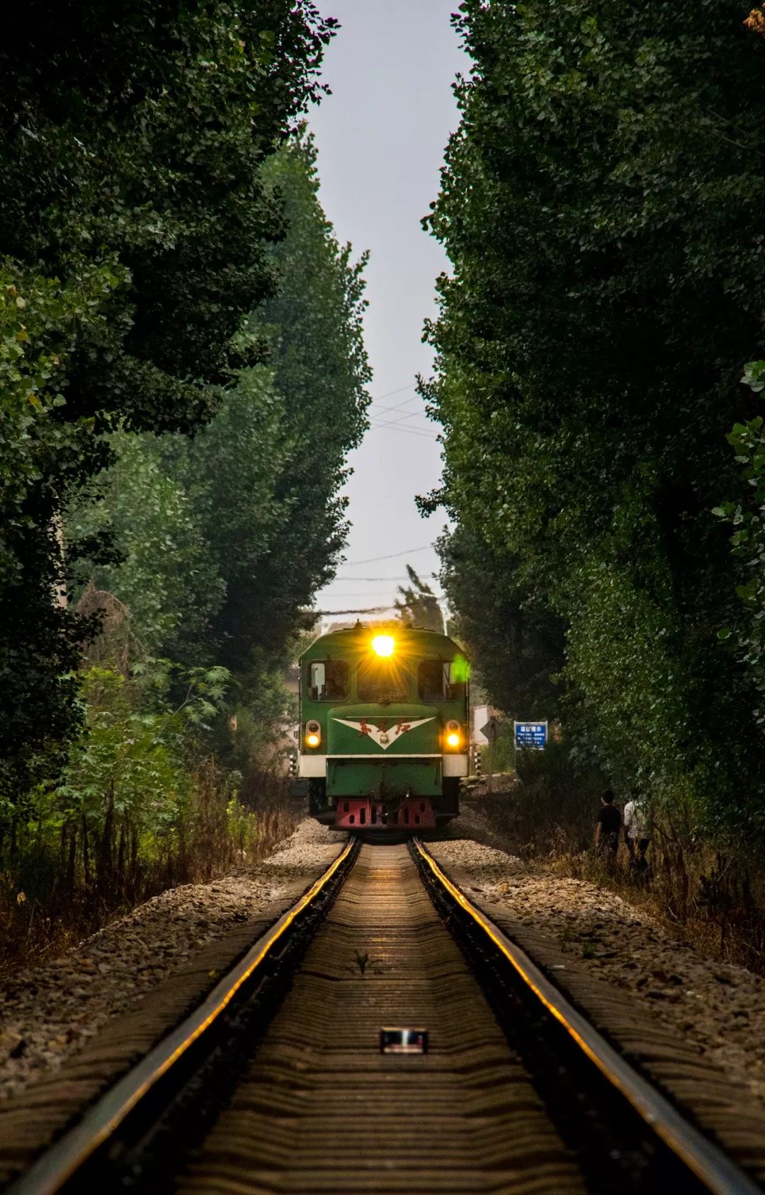 这些铁路你见过吗？昆明小伙儿给云南铁路拍了一本5000张照片的“相册”