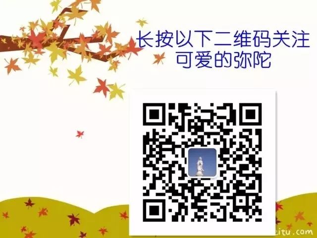 山里红志愿者新春茶话会于2月11日召开(4)
