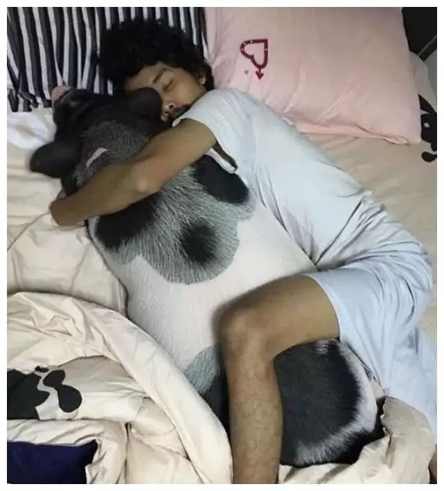泰国男子养了一只宠物猪，每天抱着睡觉，没想到一年后变这样