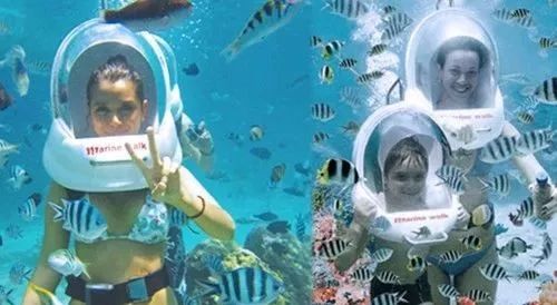 【阿雅娜蓝梦】巴厘岛泳池别墅+海边国五，2人成团天天发，纯玩无购物