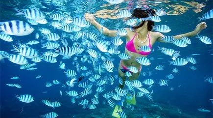 【阿雅娜蓝梦】巴厘岛泳池别墅+海边国五，2人成团天天发，纯玩无购物