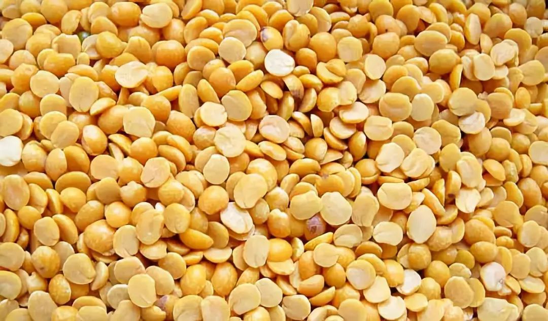 豆类价钱起伏变化农民们应谨慎评估农产品市场的变化