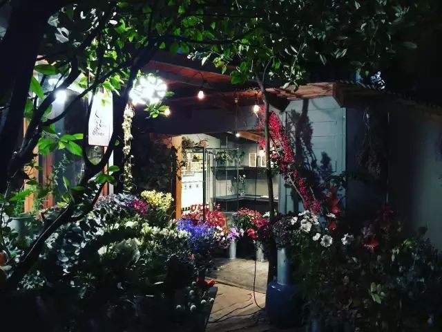 10平米的花店(4)