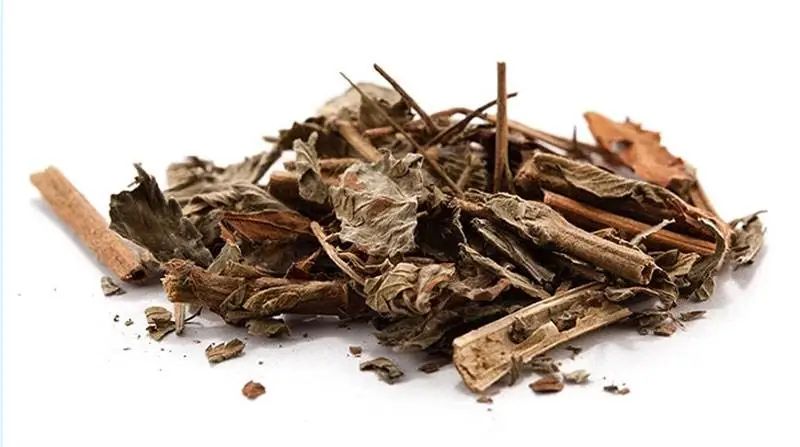 治疗肝病的四季用药经验