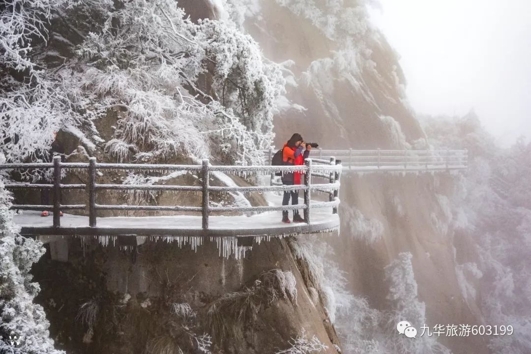 对不起，不想抱团取暖了，我想单身去看九华山的冬天