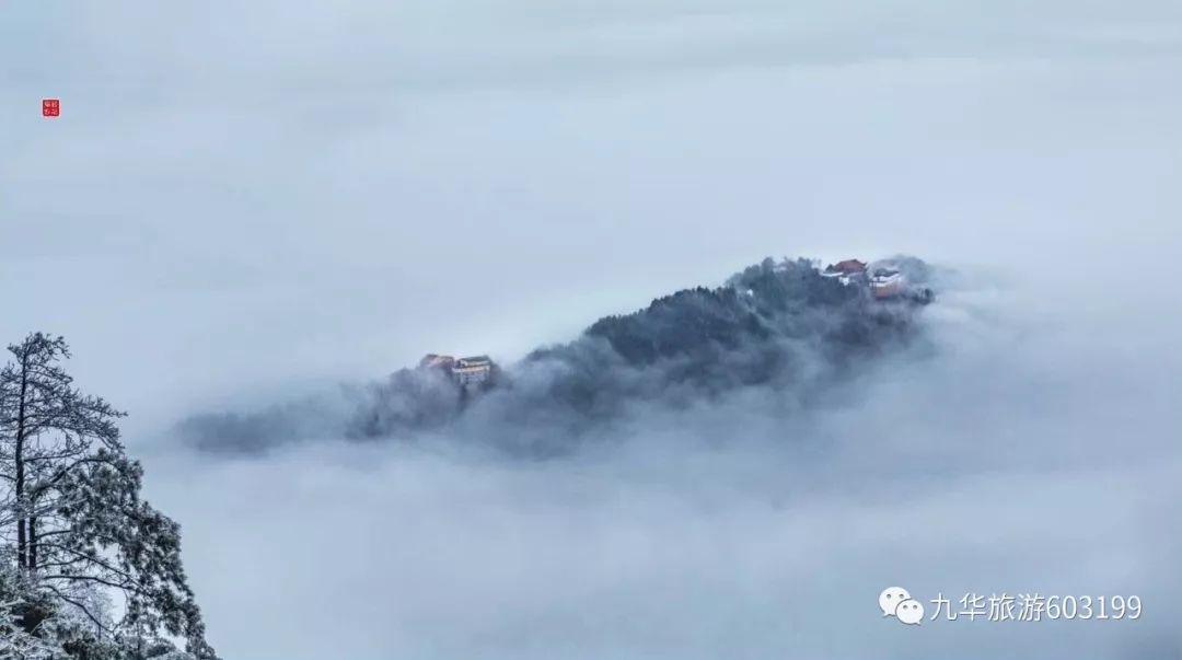 云海、宝光、雾凇……冬雨洗过的九华山奇景纷呈，美到窒息！