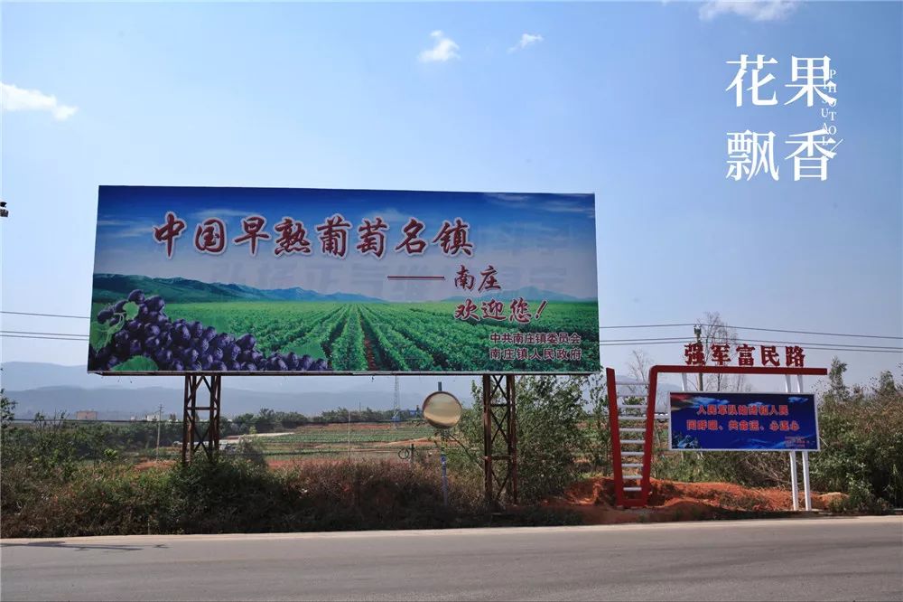 坐拥中国最好的气候资源，云南葡萄产业最变态的死法：自己把自己玩死