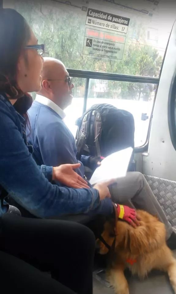 导盲犬被公车司机拒载，当大家愤愤不平时，它