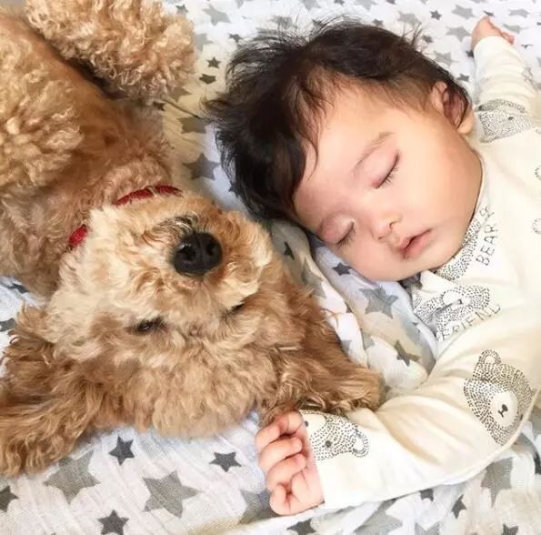 妈妈录下1岁女儿和狗狗熟睡的视频，大家直呼：