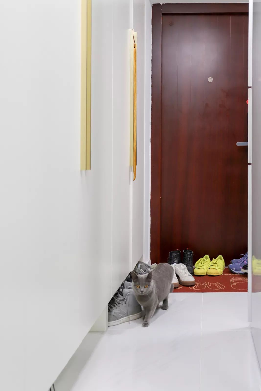 32㎡一室户，5口人2只猫，还能拥有储藏室和干湿分离卫生间？！