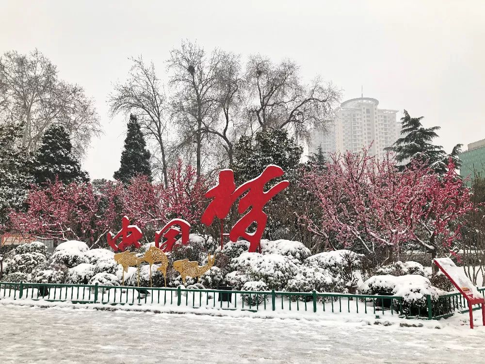下过雪的郑州美爆了！50张照片，带你邂逅浪漫！