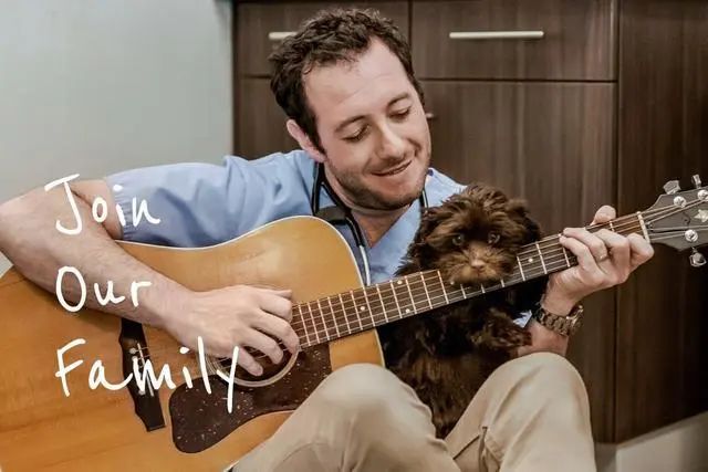 宠物狗害怕看病，兽医微笑拿出吉他：能不能给我一首歌的时间