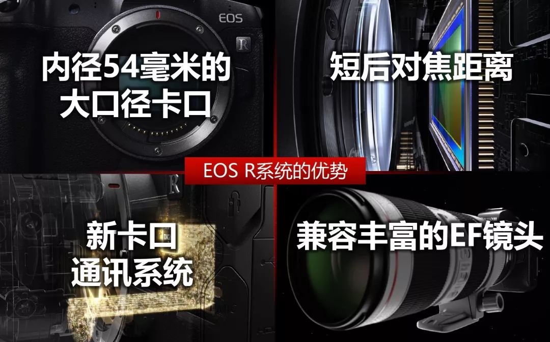 着眼未来影像市场30年 佳能EOS R系统光学技术交流会见闻