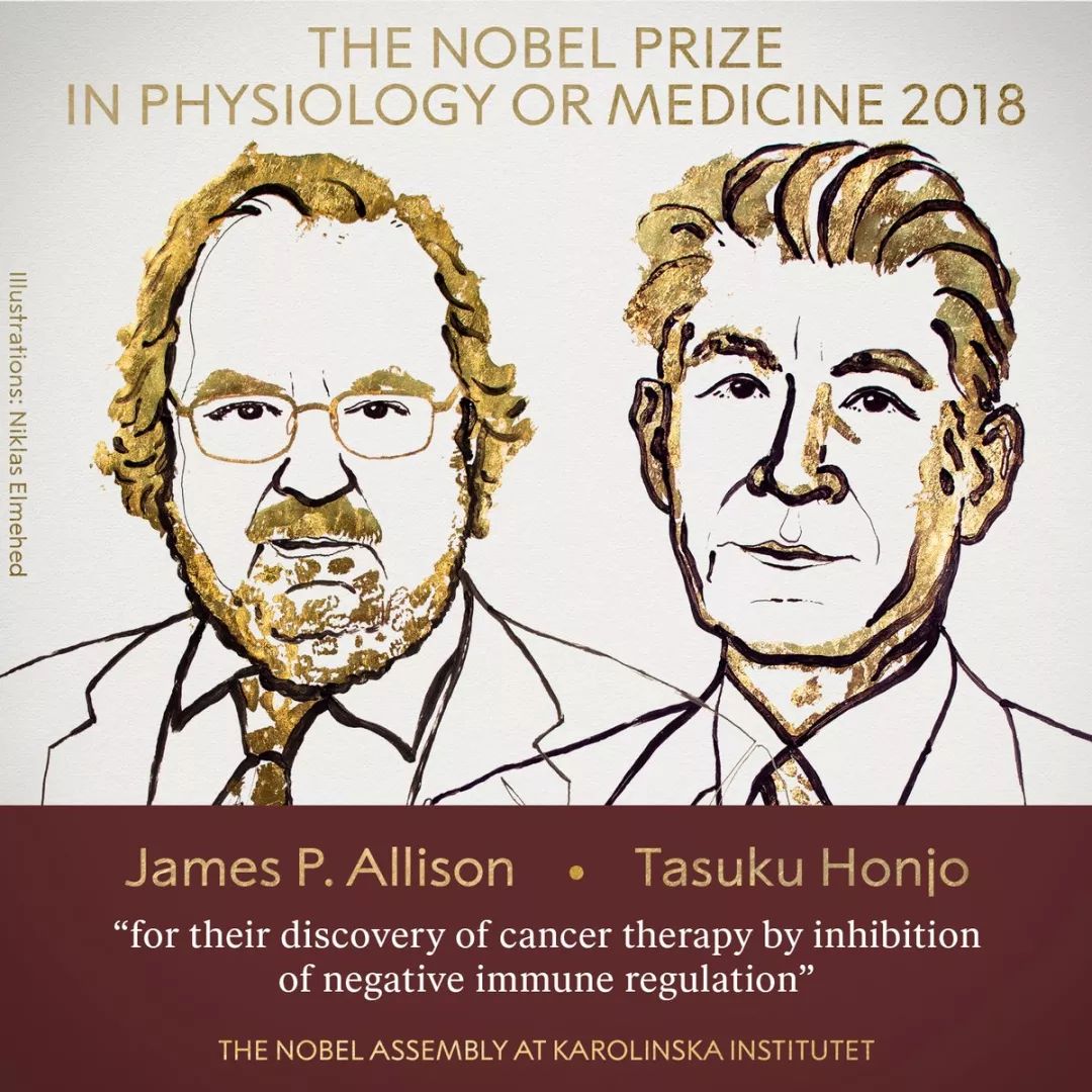 刚刚，诺奖授予癌症免疫疗法！美日两位科学家获2018年诺贝尔生理学或医学奖