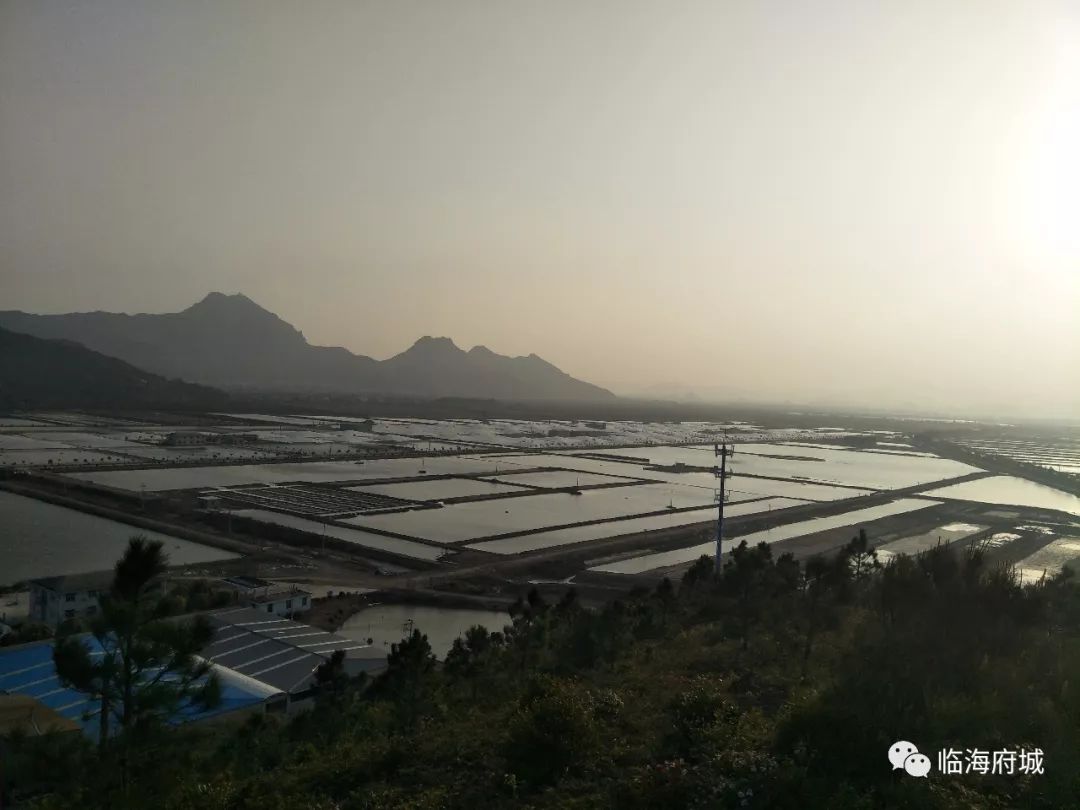这一组最美的风景出自浙江最大的白对虾养殖基地临海宏野海产品养殖基地