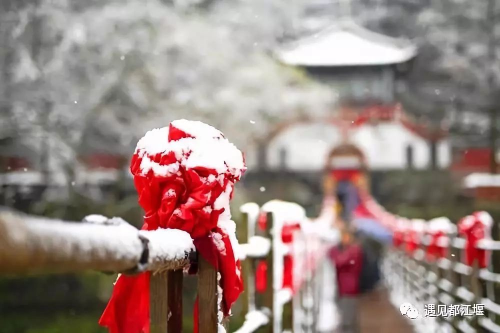 换个角度看雪景！都江堰独家航拍大片，为你留住冬日最美景色！