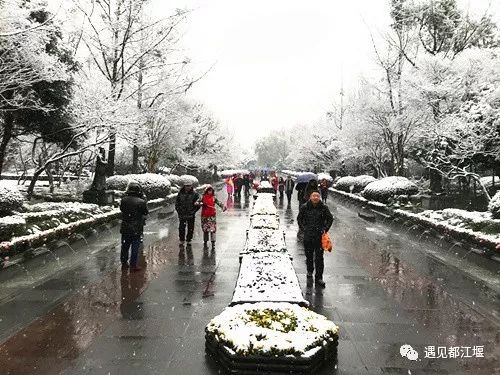 城区也堆起了！都江堰用一场瑞雪迎接2019，元旦赶紧来看最美雪景啦！