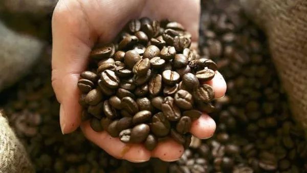 哥伦比亚推出新的咖啡保险计划以应对气候变化