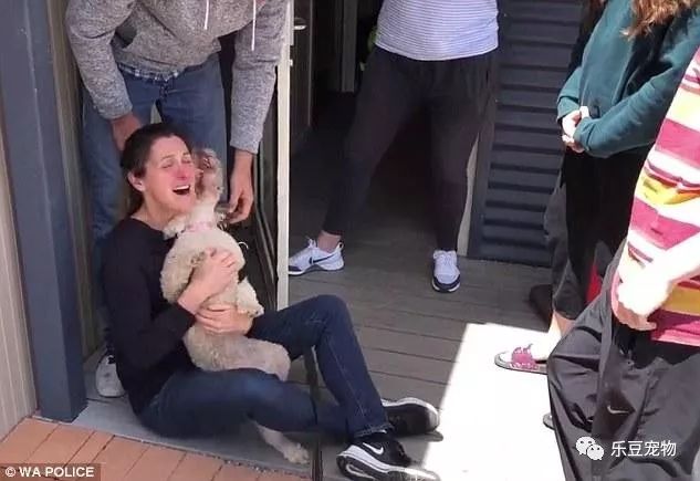 狗狗在外玩耍被偷走，找到后姑娘把它抱在怀里痛哭！