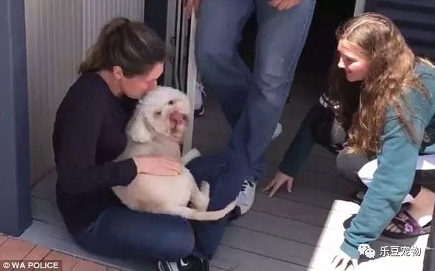 狗狗在外玩耍被偷走，找到后姑娘把它抱在怀里痛哭！