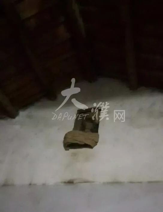 【多图】濮阳县一村民家惊现巨型马蜂窝，让人