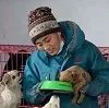 请帮帮它们吧！-20℃寒冬，大西北600多只流浪狗陷入饥荒，急需粮食过冬！