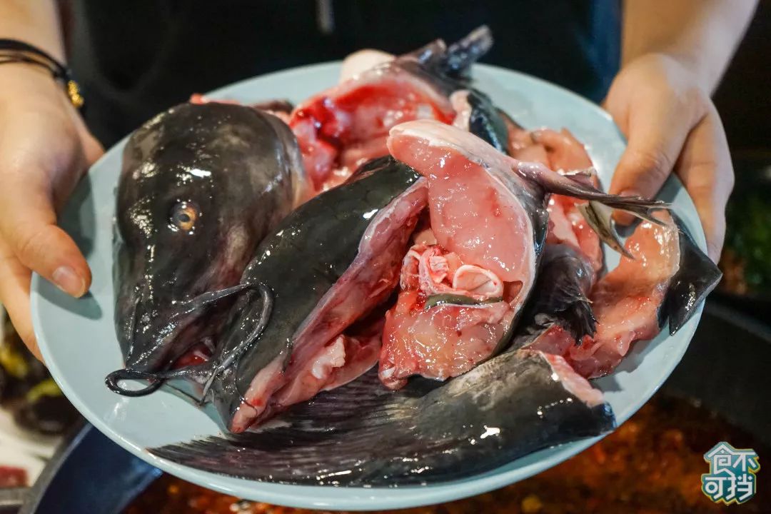 南门这家鱼火锅爆了，只卖新鲜货，锅底是你从来没吃过的味道！