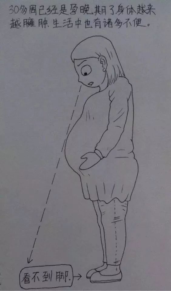 这个大暖男用100多张图，画下老婆怀胎10月的酸甜
