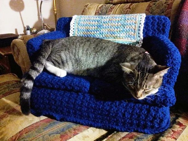 喵星人的针织小沙发，也太可爱了吧