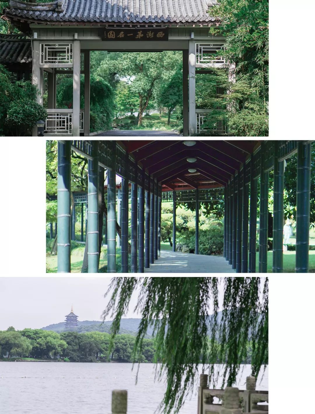 老杭州才知道的“西湖里的西湖”，这个盛夏，一起在这座百年庄园隐于西湖！