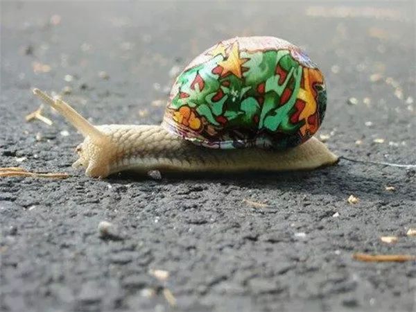 心理测试：选择一只很努力的蜗牛，测什么情况下你的梦想会改变
