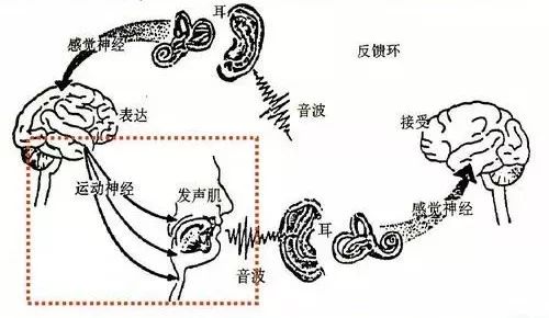 构音障碍的治疗方法（收藏版）