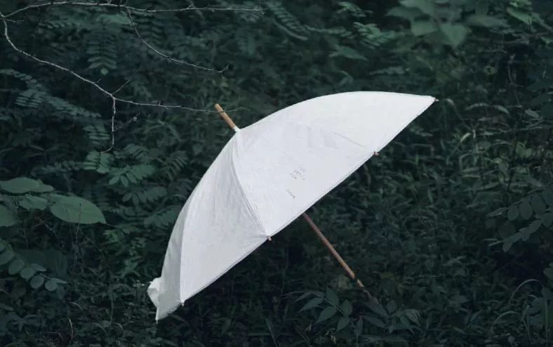 一把纸做的竹伞，获“设计界奥斯卡”，能抵御5级风雨