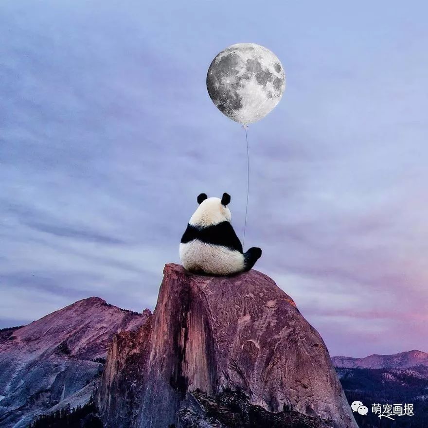 熊猫、老虎等动物主题的超现实画作，真美啊
