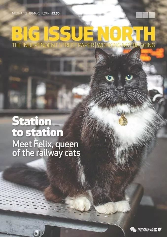 这家火车站有位猫咪员工，陪吃陪喝又陪摸...还能升官...