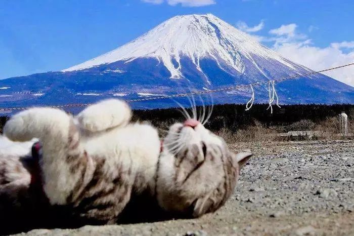 我也想躺在富士山脚下……
