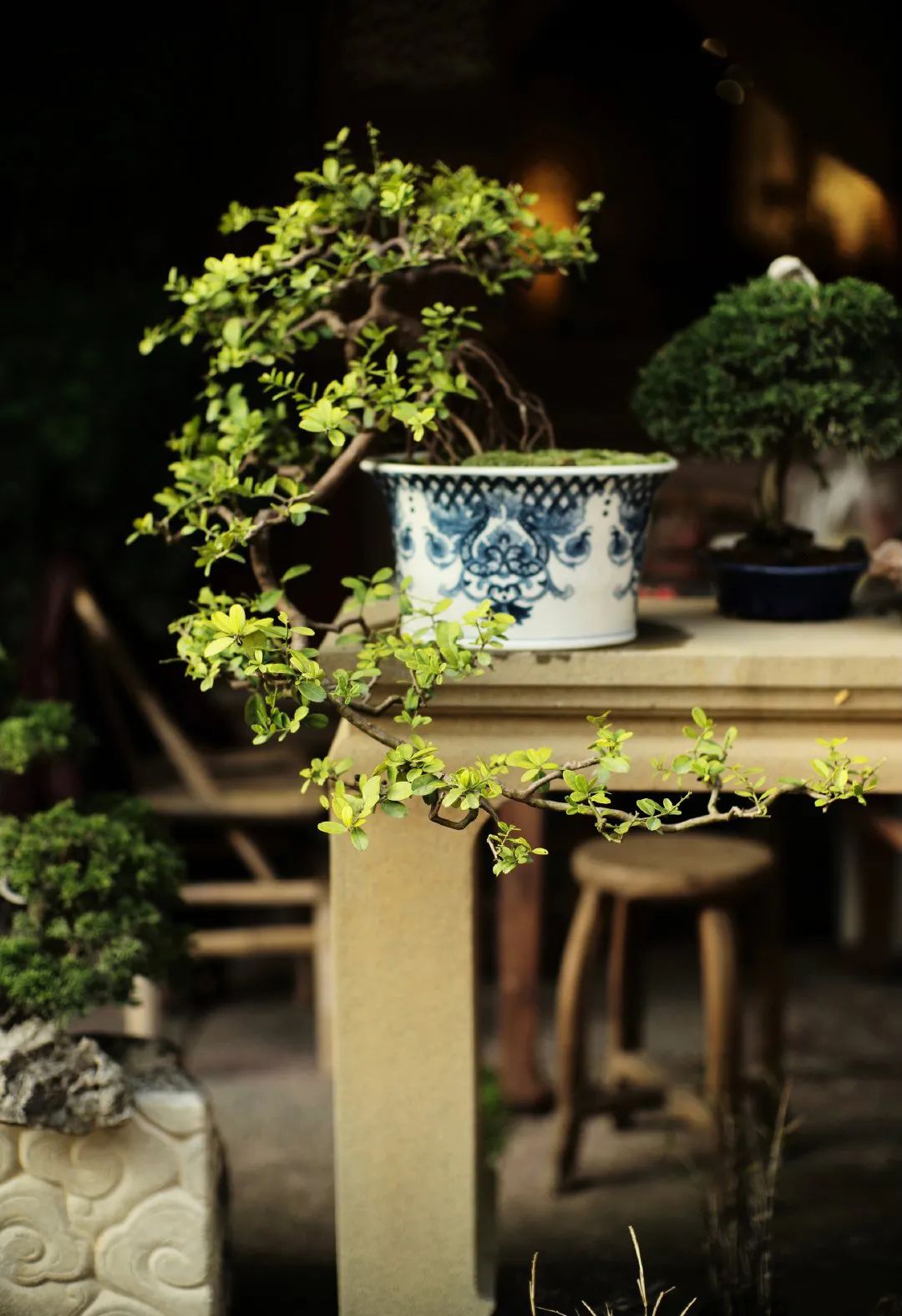 无常，才是人生的常态