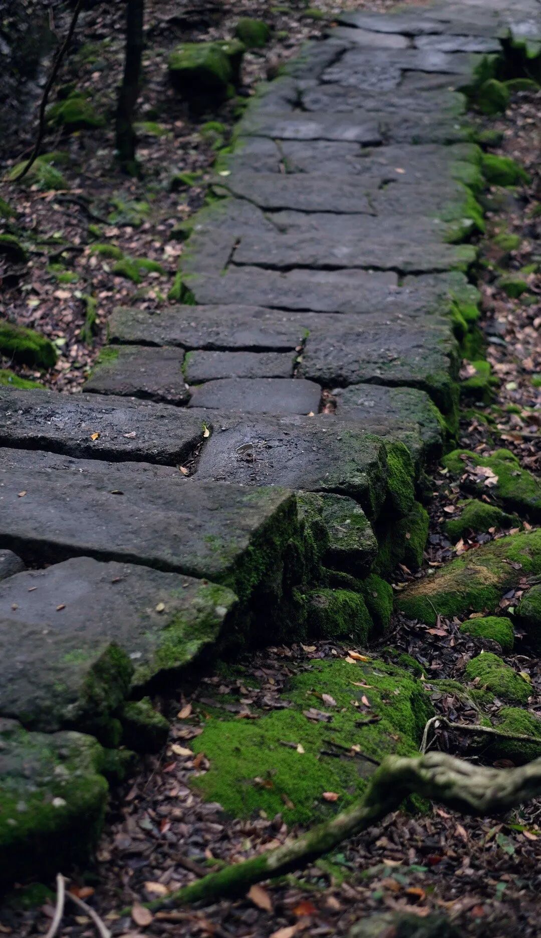 无常，才是人生的常态