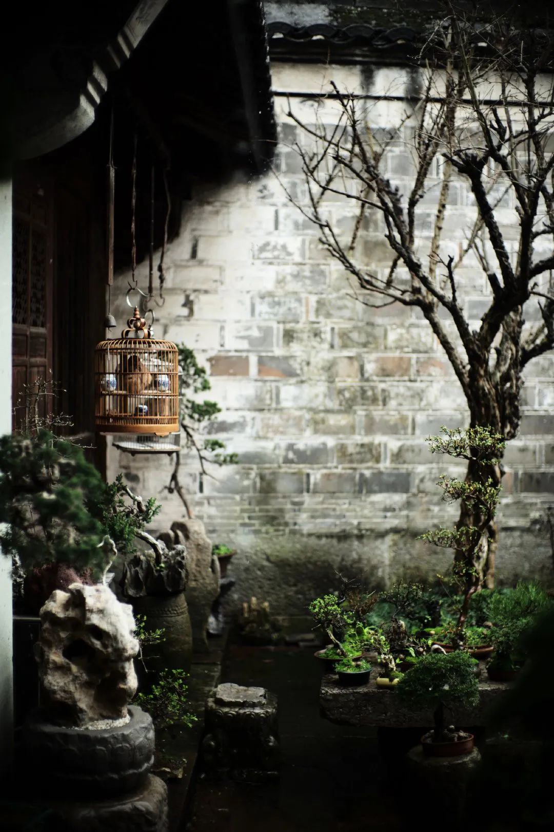 无常，才是人生的常态