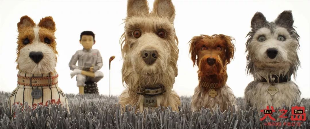 300张《犬之岛》温暖送 | 今年口碑第一的动画电
